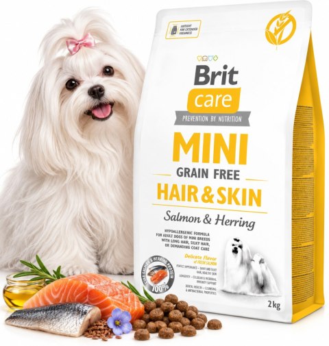 Brit Care Mini Hair Skin 2 kg łosoś karma sucha dla małych psów