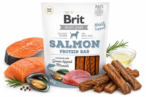 Brit Jerky SALMON 80g przysmaki dla psa z łososiem SMACZKI