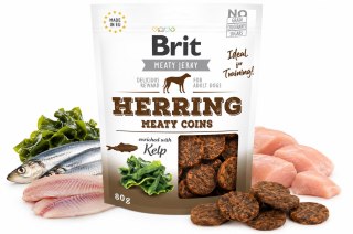 Brit Jerky Snack Herring Meaty coins 80g przysmaki z pstrągiem dla psa