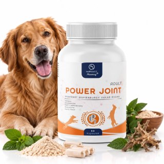 HippoVet Pharmacy Power Joint ADULT 50 kapsułek - wsparcie stawów psa