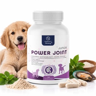 HippoVet Pharmacy Power Joint JUNIOR 50 kapsułek - wsparcie stawów młodego psa