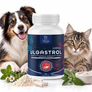 HippoVet Pharmacy ULGASTROL Cat&Dog 50 kapsułek - osłona żołądka psa i kota