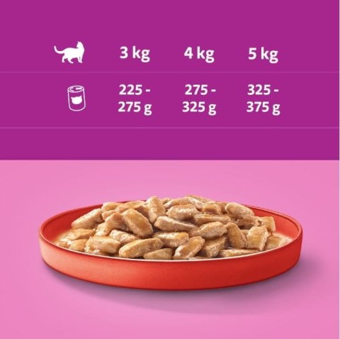 Karma dla kota Whiskas wołowina w sosie 12x400g puszka