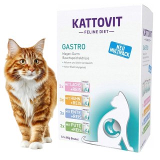 PAKIET Kattovit Gastro 60x85g karma weterynaryjna dla kota na żołądek jelita MIX