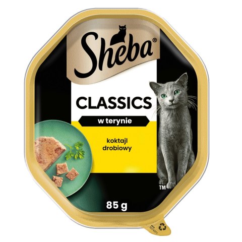 Sheba CLASSIC w terynie Koktail Drobiowy 6x 85g karma dla kota tacka