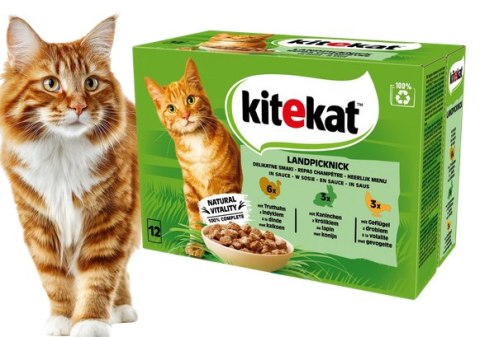 Zestaw KITEKAT SASZETKI dla kota z królikiem i drobiem w sosie 48x85 g