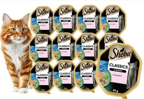 Zestaw SHEBA Classics Łosoś w Pasztecie 12x85 g