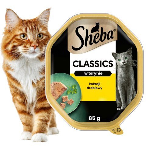 Zestaw - Sheba CLASSIC w terynie Koktail Drobiowy 12x 85g karma dla kota tacka