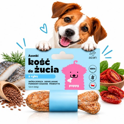 AZANKI PUPPY ZESTAW 4 KOŚCI DO ŻUCIA