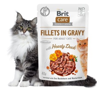 BRIT CARE CAT FILLETS IN GRAVY HEARTY DUCK POUCH saszetka 85g