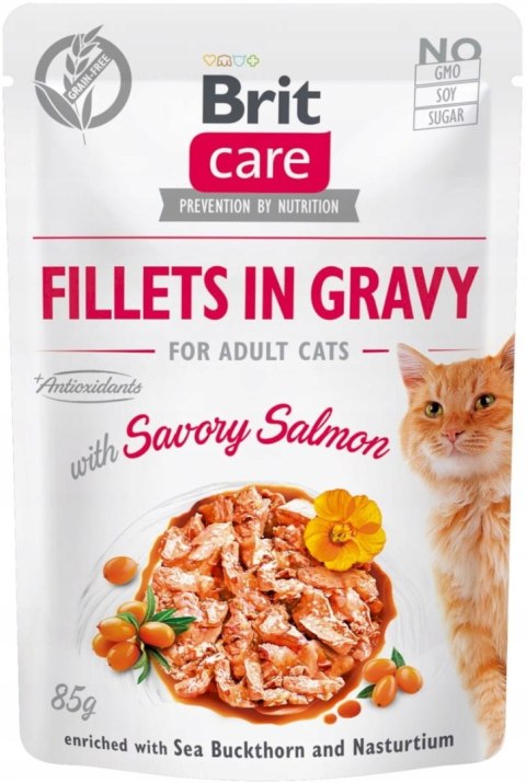Brit CAT FILLETS IN GRAVY Care GF Savory Salmon 85g