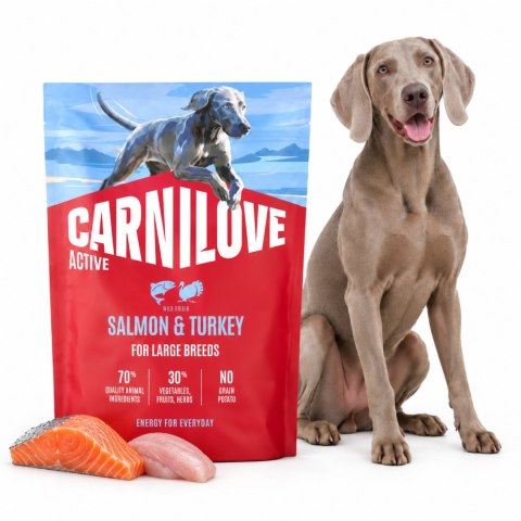 CARNILOVE Active Łosoś Indyk 1,5kg Karma Sucha dla Psa Dużych Ras