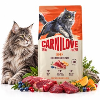 CARNILOVE CAT TRUE FRESH BEEF ADULT LARGE 400g