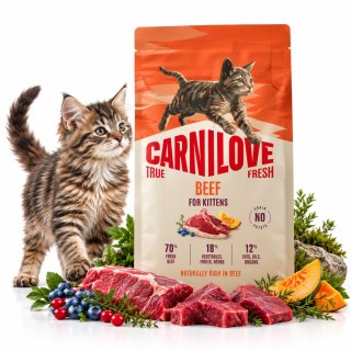 CARNILOVE CAT TRUE FRESH BEEF KITTENS 400g