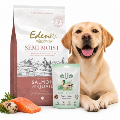 EDEN Salmon & quail - łosoś i przepiórka 10kg półmiękka karma + SMACZKI