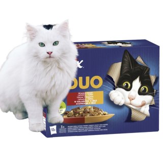 Felix Duo Karma dla kotów wiejskie smaki w galaretce 1,02 kg (12 x 85 g)