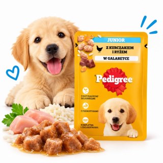 Pedigree Junior Saszetka 100g Mokra Karma Dla Psa Kawałki Kurczaka W Galaretce