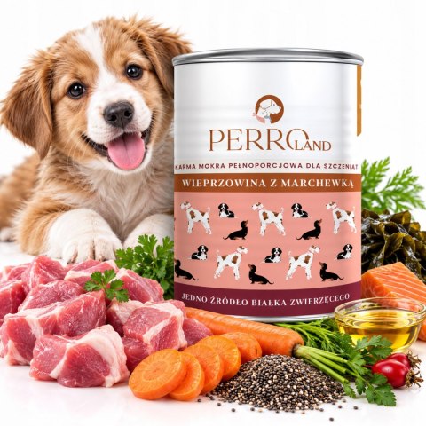 Perro Mokra Junior Wieprzowina Marchewka 400g mokra karma dla szczeniąt