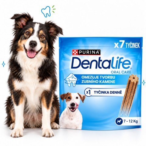 Purina DentaLife Small przysmak dentystyczny dla psa 7szt. 115g