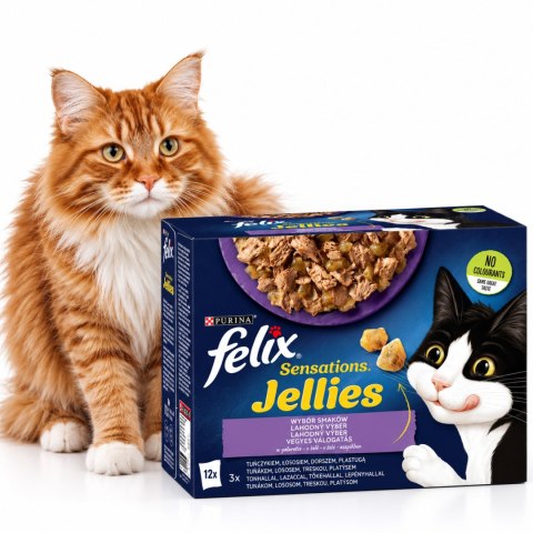 Purina Felix jellies karma mokra dla kota w galaretce mix smaków 24x85 g