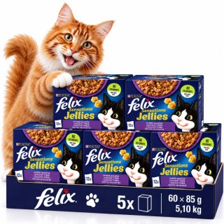 Purina Felix jellies karma mokra dla kota w galaretce mix smaków 60x85 g