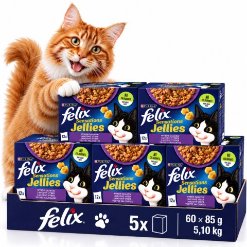 Purina Felix jellies karma mokra dla kota w galaretce mix smaków 60x85 g