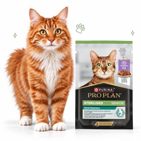 Purina Pro Plan Sterilised Senior z indykiem w sosie saszetka 85g