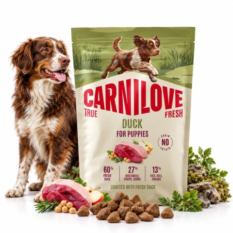 TRUE FRESH Duck Dry food for Puppies, karma z kaczką dla szczeniąt 1,5kg