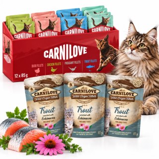 ZESTAW CARNILOVE CAT POUCH MULTIPACK 12X85G + 3x85g TROUT&ECHINACEA