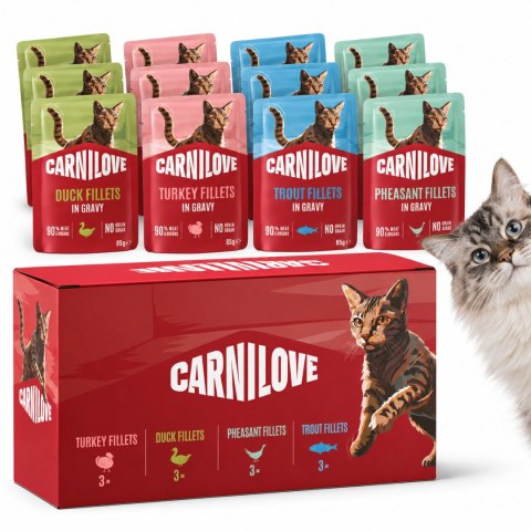 ZESTAW CARNILOVE CAT POUCH MULTIPACK 12X85G + 3x85g TROUT&ECHINACEA