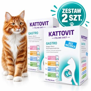 ZESTAW Kattovit Gastro 24x85g karma weterynaryjna dla kota na żołądek jelita MIX