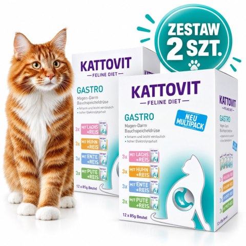 ZESTAW Kattovit Gastro 24x85g karma weterynaryjna dla kota na żołądek jelita MIX