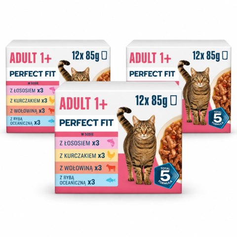 ZESTAW Perfect Fit Adult 1+ Mix 36x85g Karma Mokra dla Kota Saszetki w Sosie