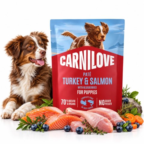 Zestaw - CARNILOVE DOG POUCH TURKEY&SALMON PUPPIES 6x300g