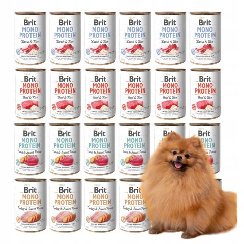 BRIT MONO protein MIX NAJLEPSZYCH SMAKÓW 24x400 g