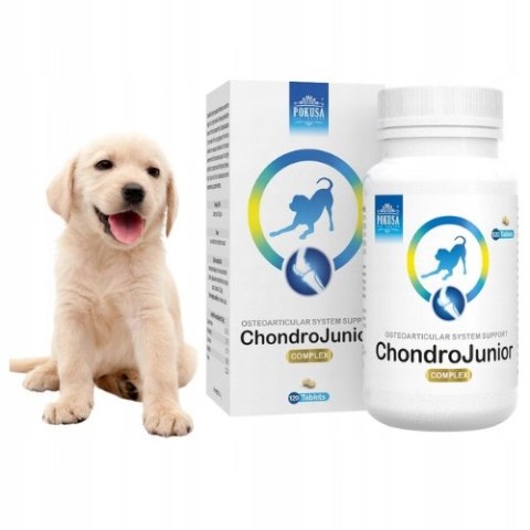 ChondroLine ChondroJunior 120 tab PUPPY