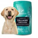 HOLISTA Collagen Typ II PURE 200g KOLAGEN ODBUDOWA CHRZĄSTKI DYSPLAZJA