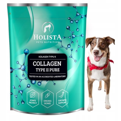 HolistaPets Kolagen Collagen Type II PURE 600g Odbudowa Stawów Regeneracja