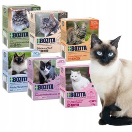 BOZITA FELINE MIX NAJLEPSZYCH SMAKÓW KARTONIK DLA KOTA 6X370 GALARETKA