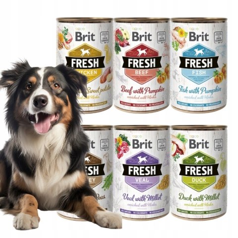 BRIT FRESH SUPER ZESTAW 6X400 MIX SMAKÓW DLA PSA ulubione smaki