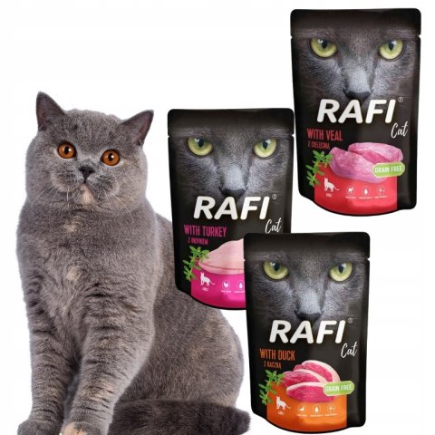 Rafi Cat Dolina Noteci Saszetki DLA KOTA 30x100g INDYK KACZKA CIELĘCINA